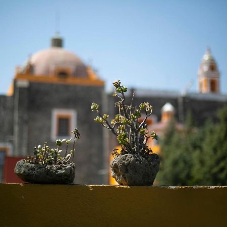 Majikal B&B -Retro Cholula Buitenkant foto